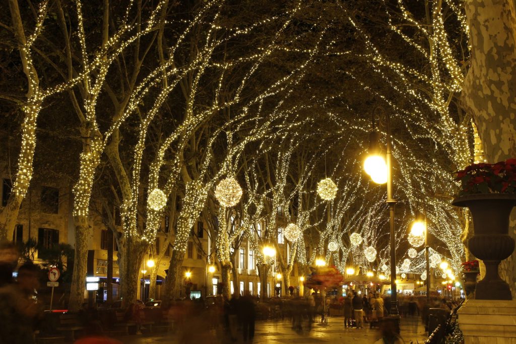 Palma Christmas Market 2026: Parc de Nadal, Lights and What to Eat